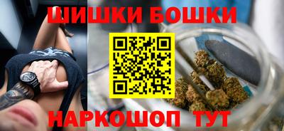 стаф Шелехов