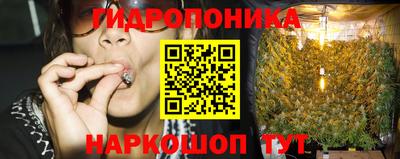 стаф Шелехов