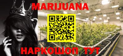 стаф Шелехов