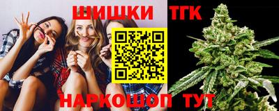 стаф Шелехов