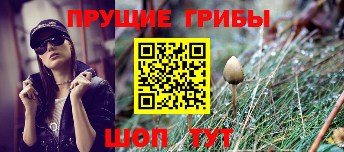 Псилоцибиновые грибы ЛСД Алейск